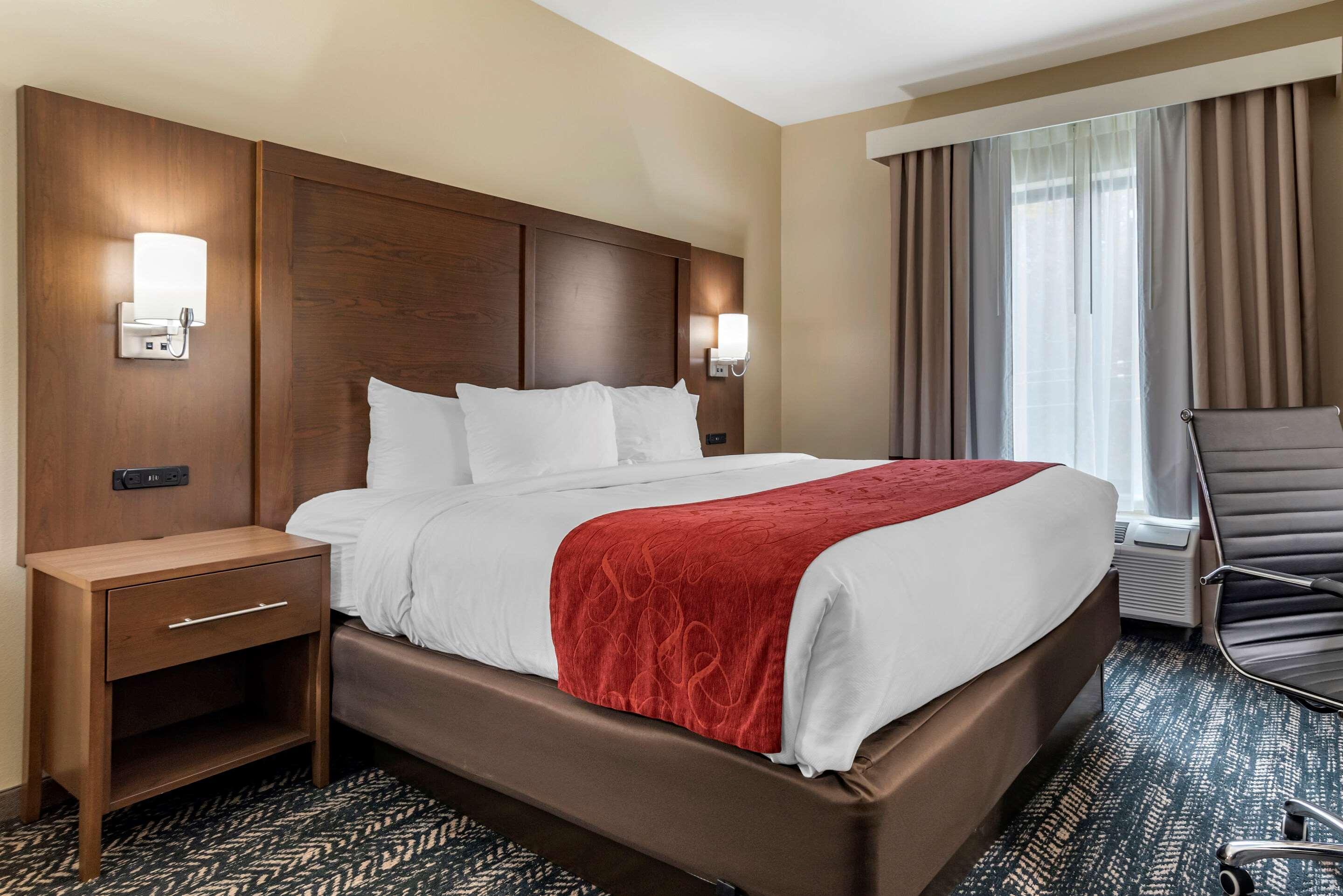 Comfort Inn & Suites Downtown Near University Tuscaloosa Kültér fotó